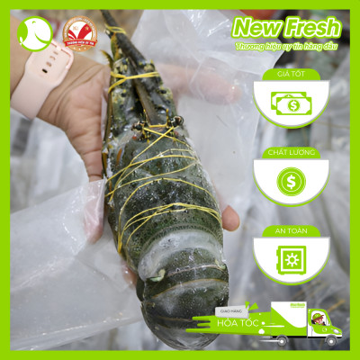 [GIAO NHANH HCM] Tôm Hùm Bông Đông Lạnh - 1 Con 1Kg