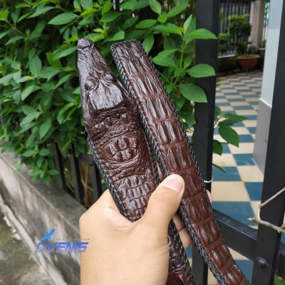 Thắt Lưng Đầu Cá Sấu Khẳng Định Phong Cách N51N