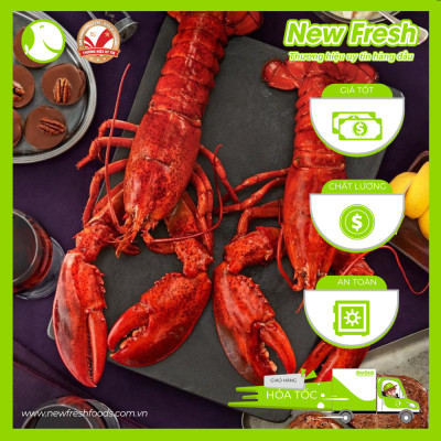 [GIAO NHANH HCM] Tôm Hùm Baby Canada Hấp - Túi 1Kg