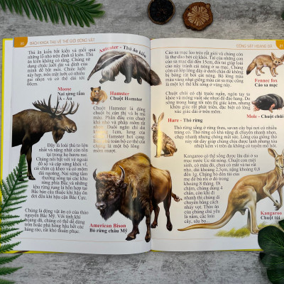 Bách khoa thư về thế giới động vật - Bìa cứng