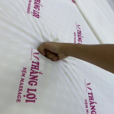 Nệm foam cao cấp TL có massage 