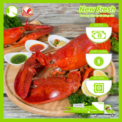 [GIAO NHANH HCM] Tôm Hùm Baby Canada Hấp - Túi 1Kg