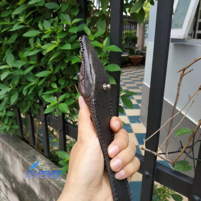 Thắt Lưng Đầu Cá Sấu Khẳng Định Phong Cách N51N