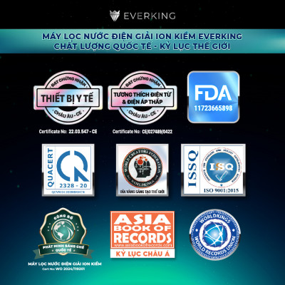 Máy Lọc Nước Điện Giải iON Kiềm EVERKING EKDeluxe-83 - Hàng Chính Hãng