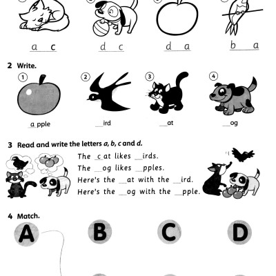 Family & Friends (2 Ed.) 1: Workbook - Paperback