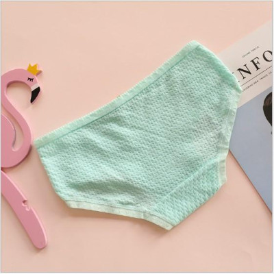 COMBO 10 QUẦN BÔNG THUN XỐP SIÊU XINH 1456