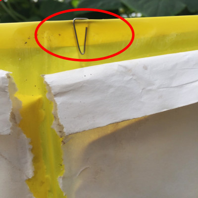 MIẾNG DÁN VÀNG BẪY CÔN TRÙNG NHẬP KHẨU ISRAEL DÙNG TRONG NÔNG NGHIỆP SẠCH NHƯ RAU THỦY CANH, RAU KHÍ CANH VÀ NÔNG NGHIỆP SẠCH (SET 20 ME2T DÀI). Kích thước ngang 0.18M x Dài 20M trải nghiệm