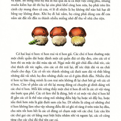 Sách - Chuyện Phiêu Lưu Của Mít Đặc Và Các Bạn (Tái Bản 2025)
