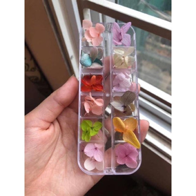 Hoa Khô Cánh To Trang Trí Móng, Nhiều Màu Sắc Độc Đáo, Thiết Kế Tinh Tế, Phụ Kiện Không Thể Thiếu Cho Làm Nail Phương Miu Nữ Women Vẽ Nail