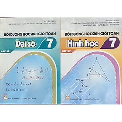 Sách - ( Combo 2 cuốn ) bồi dưỡng học sinh giỏi toán 7 - đại số + hình học ( Bài tập )