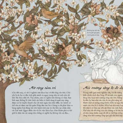 Sách - Cẩm Nang Về Tiên - Bìa Cứng