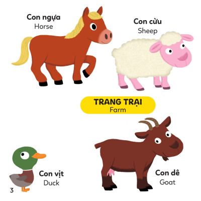 Sách - Xoay Xoay Xoay Đi Tìm - Động Vật - Bìa Cứng