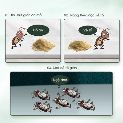 Thuốc Diệt Gián Hộp 12 Viên, Diệt Tận Gốc, Dễ Sử Dụng, Tác Dụng Lâu Dài, An Toàn