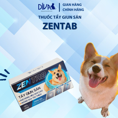 XỔ GIUN HƯƠNG SỮA DÊ DIVA X ZENTAB HỘP 100 VIÊN