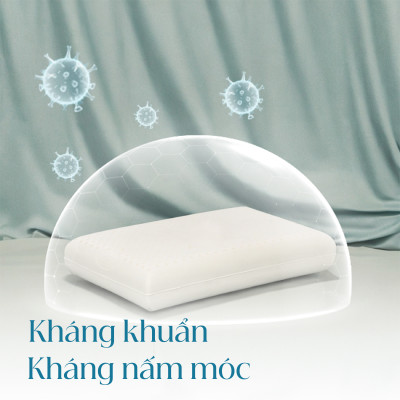 Gối Cao Su Vạn Thành Oval VTGCSO4056 (40 x 64 cm) - Trắng