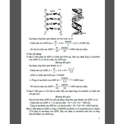 SÁCH - Phương pháp mới giải nhanh bài tập di truyền (dùng chung các bộ sgk hiện hành) - HA