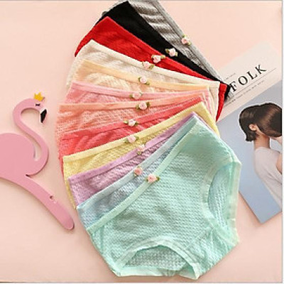 COMBO 10 QUẦN BÔNG THUN XỐP SIÊU XINH 1456