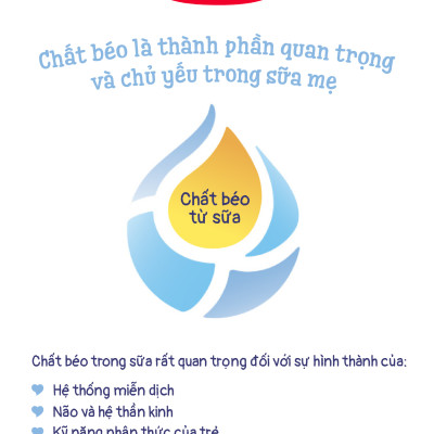 Thùng 12 hộp Sữa bột công thức Semper Bifidus số 1 400g/hộp