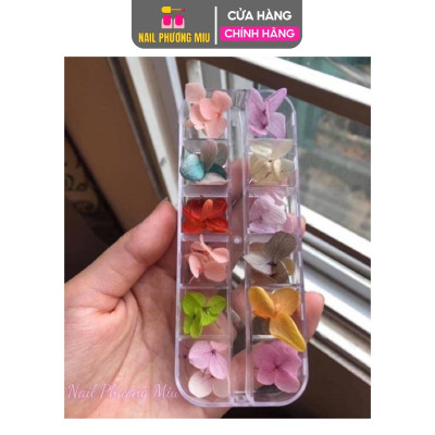 Hoa Khô Cánh To Trang Trí Móng, Nhiều Màu Sắc Độc Đáo, Thiết Kế Tinh Tế, Phụ Kiện Không Thể Thiếu Cho Làm Nail Phương Miu Nữ Women Vẽ Nail
