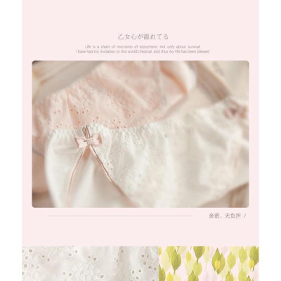 Quần Lót Cotton Retro Eo Giữa Hoạ Tiết Thêu Tinh Tế Hàng Cao Cấp WL82