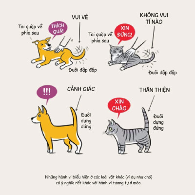 Méo Mèo Meo - Bí Mật Giao Tiếp Từ Cái Vẫy Đuôi Đến Tiếng Grừ Grừ - SGB