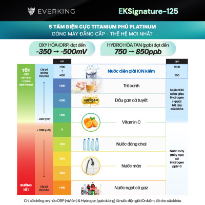 Máy Lọc Nước Điện Giải iON Kiềm EVERKING EKSignature-125 - Hàng Chính Hãng
