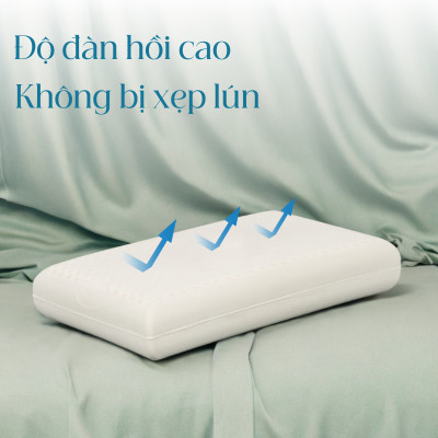 Gối Cao Su Vạn Thành Oval VTGCSO4056 (40 x 64 cm) - Trắng