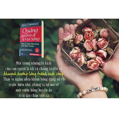 Combo Sách Tư Duy - Kỹ Năng Sống: Đắc Nhân Tâm (Bìa Cứng) + Quẳng Gánh Lo Đi Và Vui Sống (Bìa Cứng)