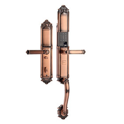 Khóa vân tay tân cổ đại sảnh DEMAX SL821 AC