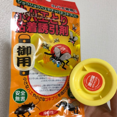 Bẫy Keo Dính Diệt Ruồi Và Các Côn Trùng Gây Hại