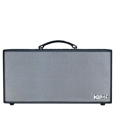 Dàn âm thanh di động xách tay ACNOS CS450SRV