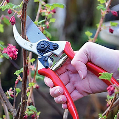 Kéo cắt tỉa cành S&J – 6659BS