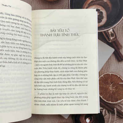 Sách - Con đường tỉnh thức - Mochibooks