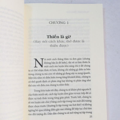 Combo 2 cuốn: An Nhiên Giữa Những Bộn Bề - Sức Mạnh Của Thiền Nơi Công Sở + Hạnh Phúc Đích Thực - Sức Mạnh Của Thiền