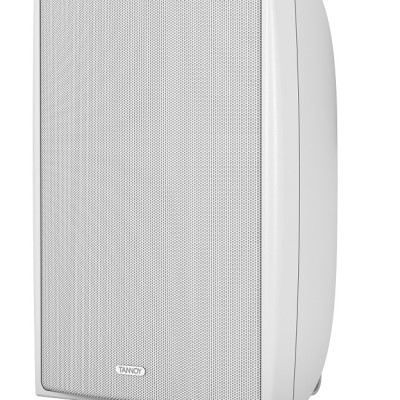 TANNOY DVS 4-WH -- 4" Công Suất 40 - 160 Watts - Hàng Chính Hãng 