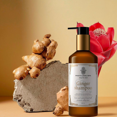Dầu gội dược liệu chiết xuất Gừng Phaya Thai 280ml dành cho tóc gầu, kích thích mọc tóc 300ml