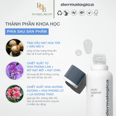 Dầu phục hồi hàng rào bảo vệ da PHYTO REPLENISH OIL của Dermalogica - Dolly Beauty