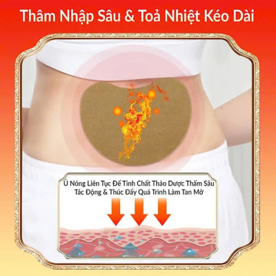 Hộp 12 Miếng Dán Ngải Cứu Tan Mỡ EO Thon Gọn Detox Thải Độc Cơ Thể Hiệu Quả Tiện Lợi