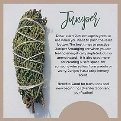 Bó lá bách xù Juniper xông nhà