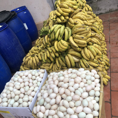 Phân bón hữu cơ đậu tương, đậu nành trứng chuối humic DOCNEEM kích mầm, chồi, hoa chuẩn form trên hoa hồng, cây cảnh, chai 1 lít