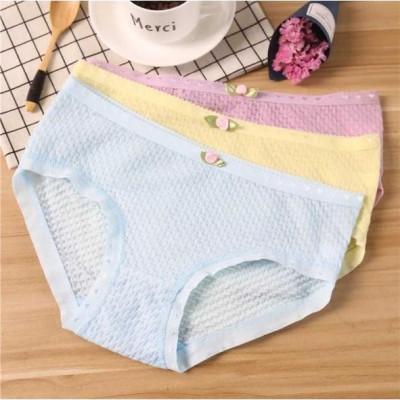 COMBO 10 QUẦN BÔNG THUN XỐP SIÊU XINH 1456