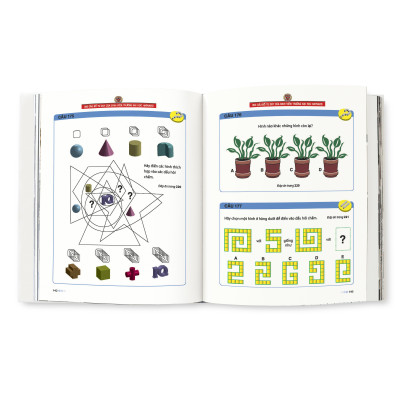 Sách - Keep Your Brain Fit - 300 Câu Đố Tư Duy Của Sinh Viên Trường Đại Học Harvard (Tái Bản 2025)