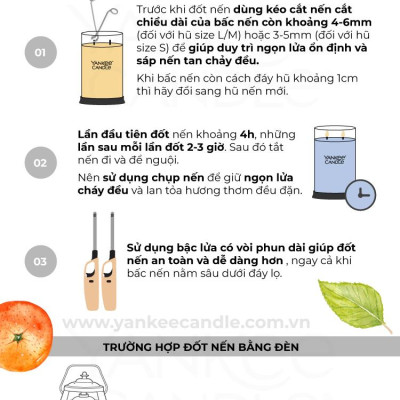 Nến ly tròn sáp đậu nành Yankee Candle size L (567g) - Bayside Cedar