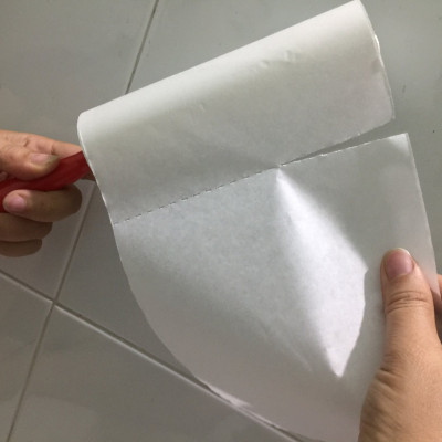 CÂY LĂN BỤI TCT 2460