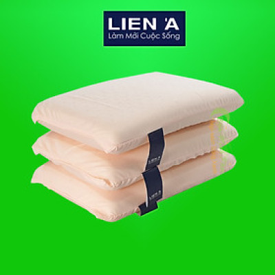 Gối Cao Su Liên Á Oval 24x37x6.5cm - Gối Văn Phòng, Gối Trẻ Em Cao Su Thiên Nhiên 100%