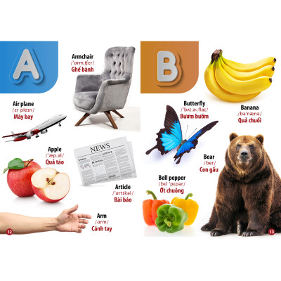 Từ Điển - Thư Viện Hình Ảnh Song Ngữ Đầu Tiên Của Bé - Loài chim - khủng Long - Chữ cái Và Số - Hoa Rau củ Quả ( bộ 4 cuốn )