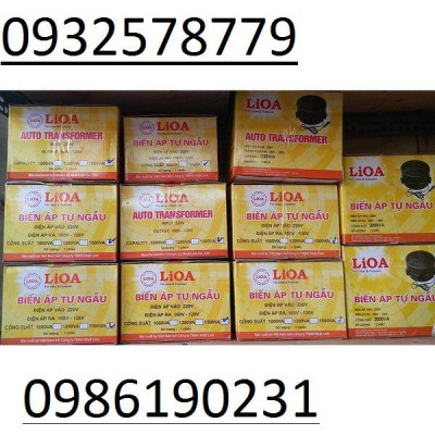 ĐỔI NGUỒN Biến Áp Tự Ngẫu - Bộ Đổi Điện LiOA 1000VA mã SP DN010
