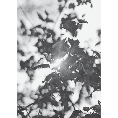 Sách ngoại văn: Make Change That Lasts