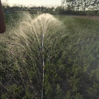 Dây ống phun mưa phi 34 hàng Nhập