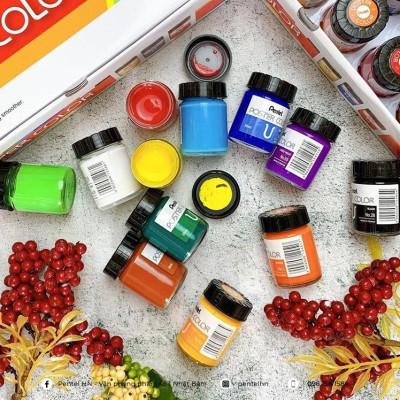 Màu bột Pentel WPU2-12 màu vẽ bền lâu phai không độc hại vẽ được trên mọi chất liệu